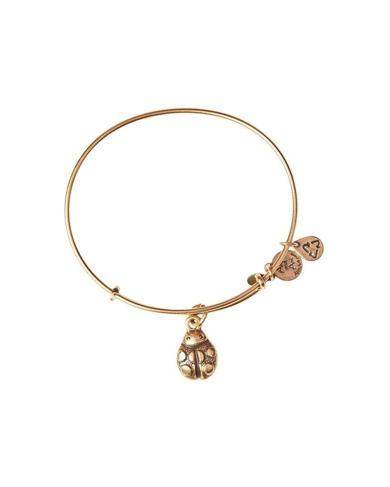 Brosway Pulsera Mujer Con Símbolo Mariquita En Acero Inoxidable | Collección CHAKRA - BHK359 : MainApps