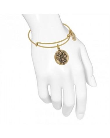 PULSERA ALEX AND ANI GUARDIAN