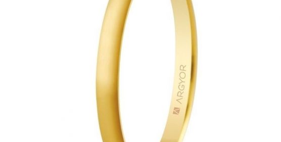 alianza-de-boda-clasica-oro-amarillo-2mm-9k-50201-2-556x281.jpg